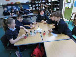 5th Class Acids & Bases with Lismore Science Workshop